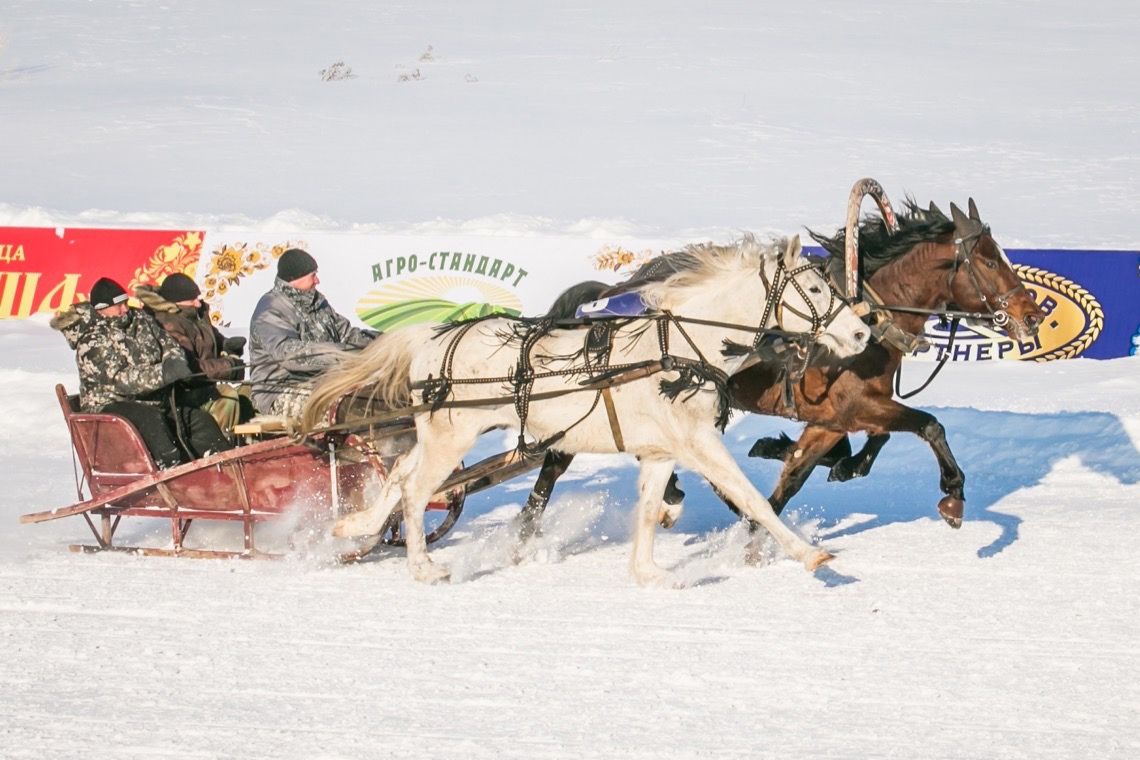 конные заезды на фестивале Сибирская Масленица_sibmaslenica.jpg