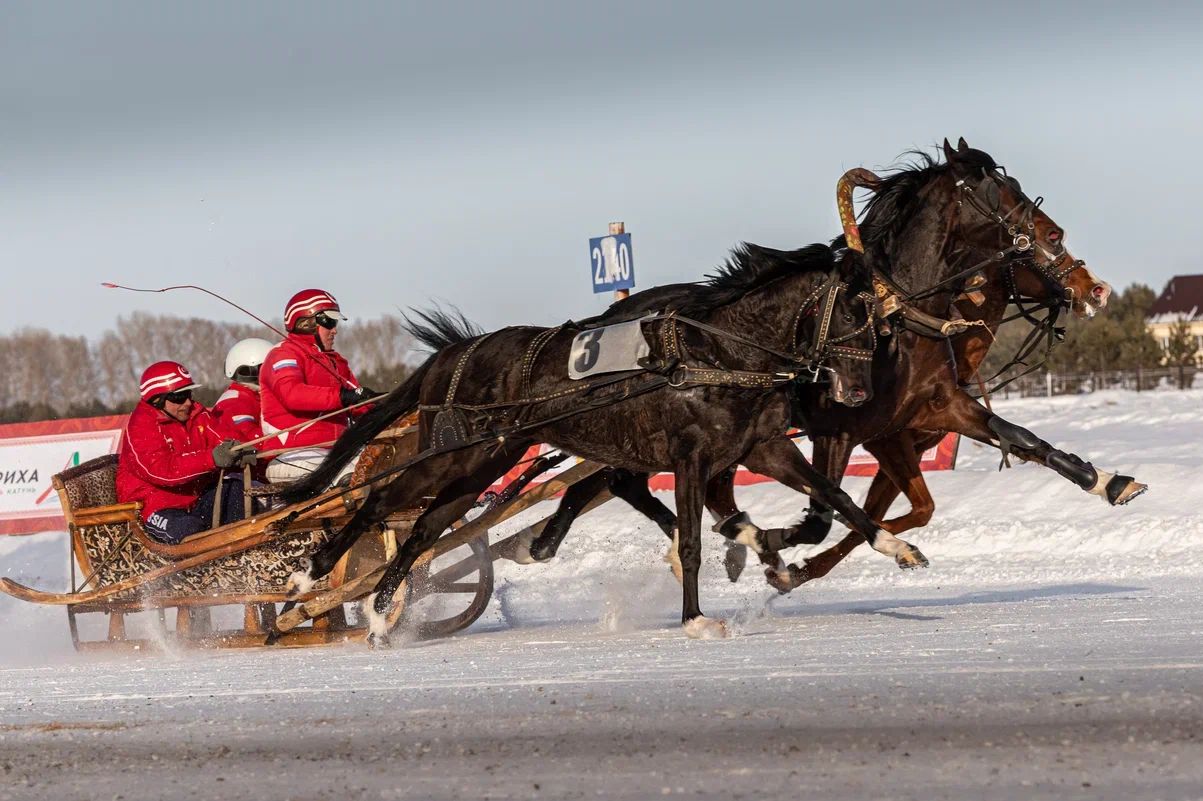 заезды троек на Сибирской Масленице_Татьяна Лопатина.jpg