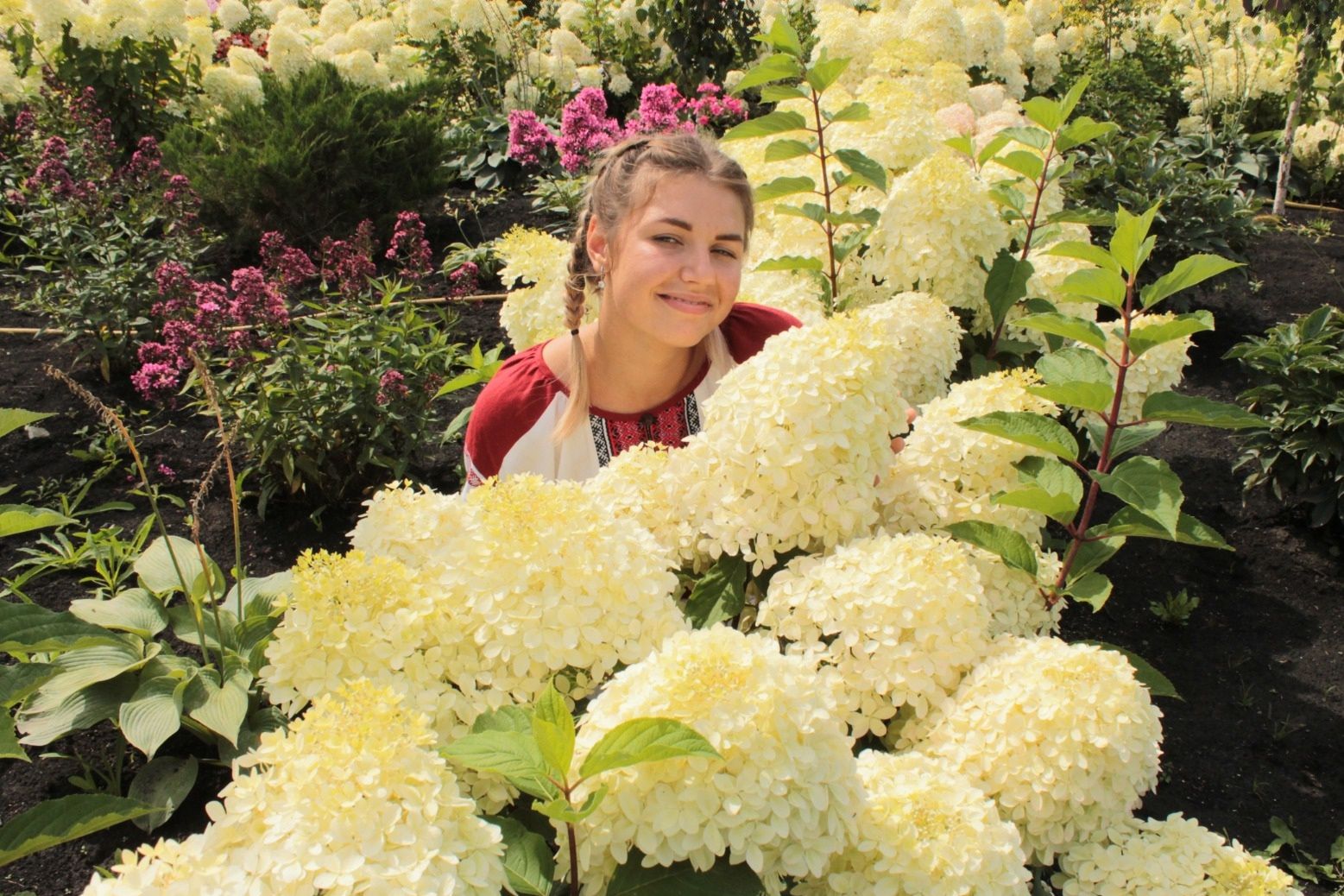 гортензия в зимнем саду Биолит_festival_tsvetov_biolit.jpg гортензия в зимнем саду Биолит_festival_tsvetov_biolit.jpg