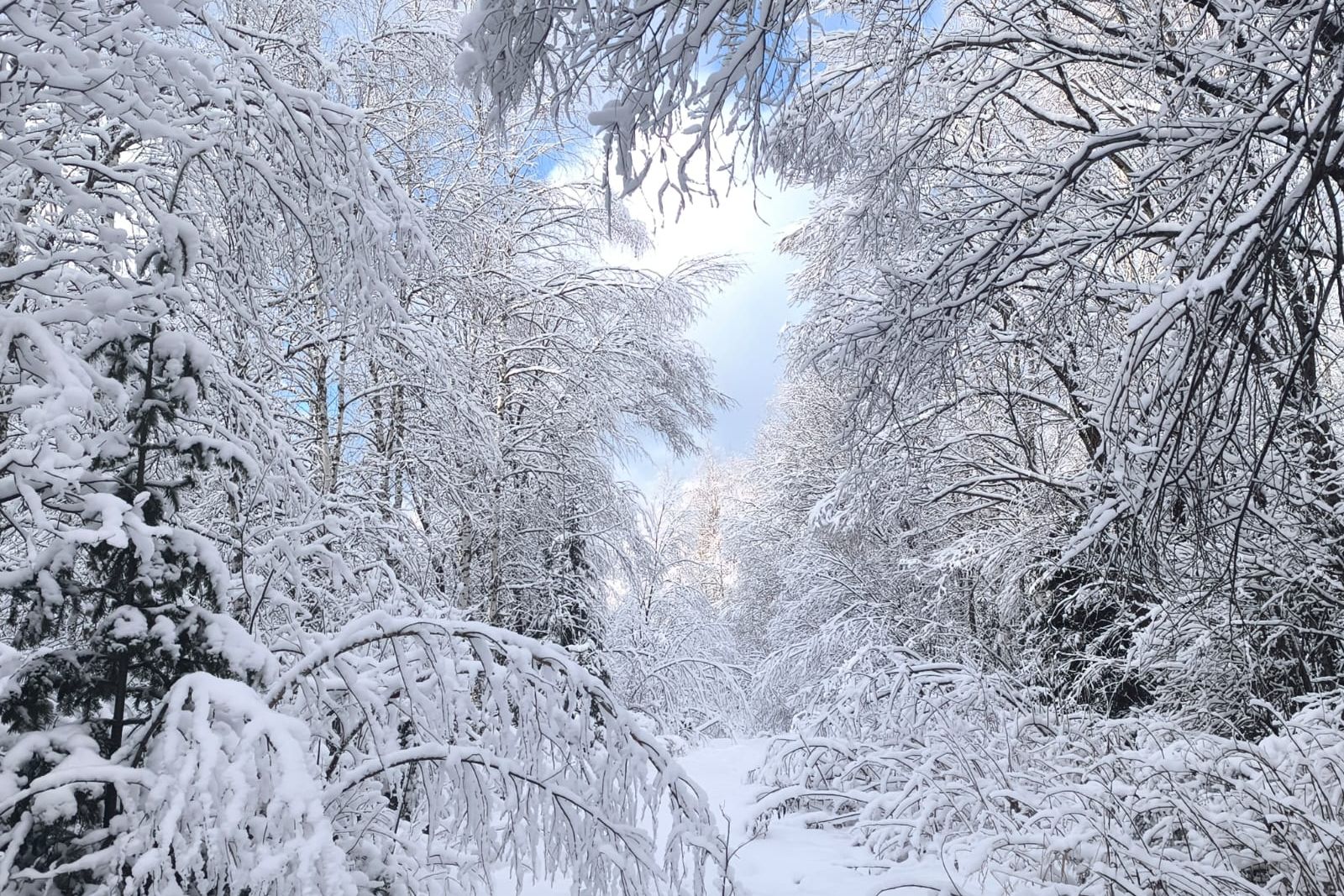 ноябрь в нацпарке Салаир_Солтонский район_Максим Ульченко.jpg