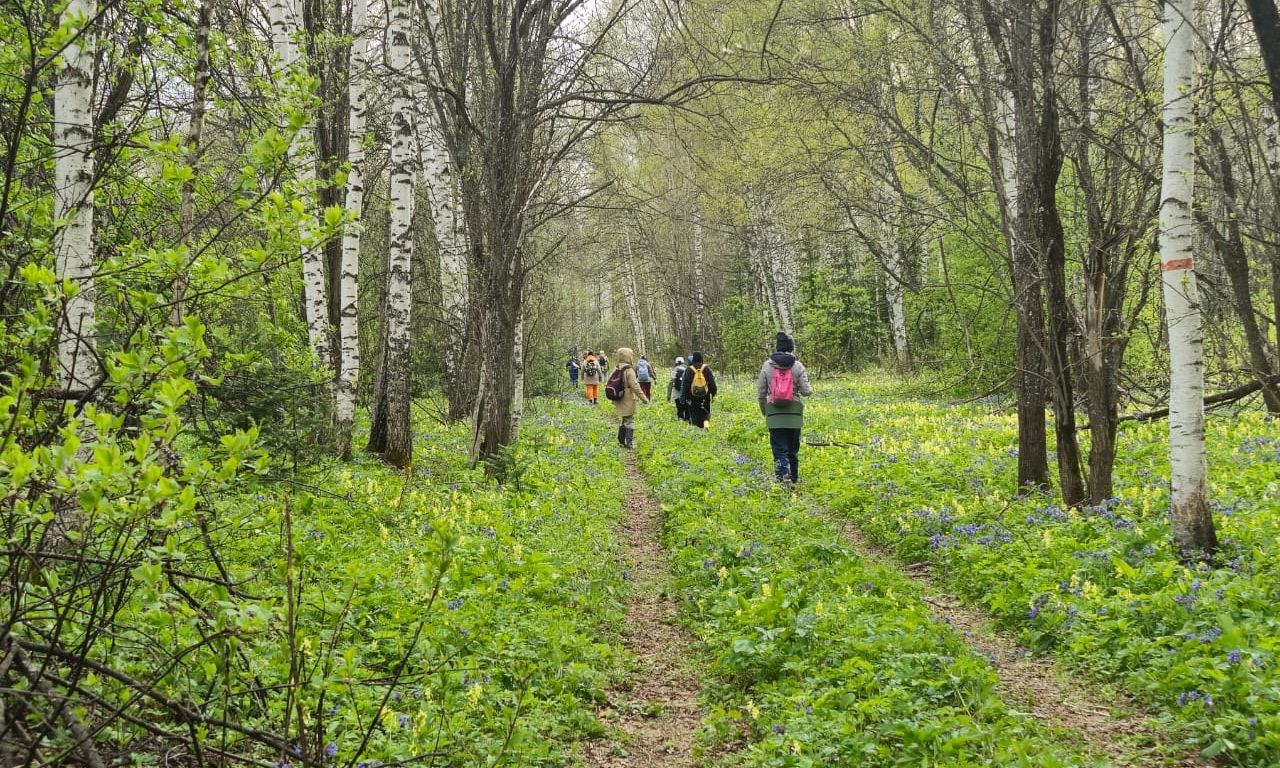 экскурсанты в цветущей тайге Салаира_salairecotour.jpg