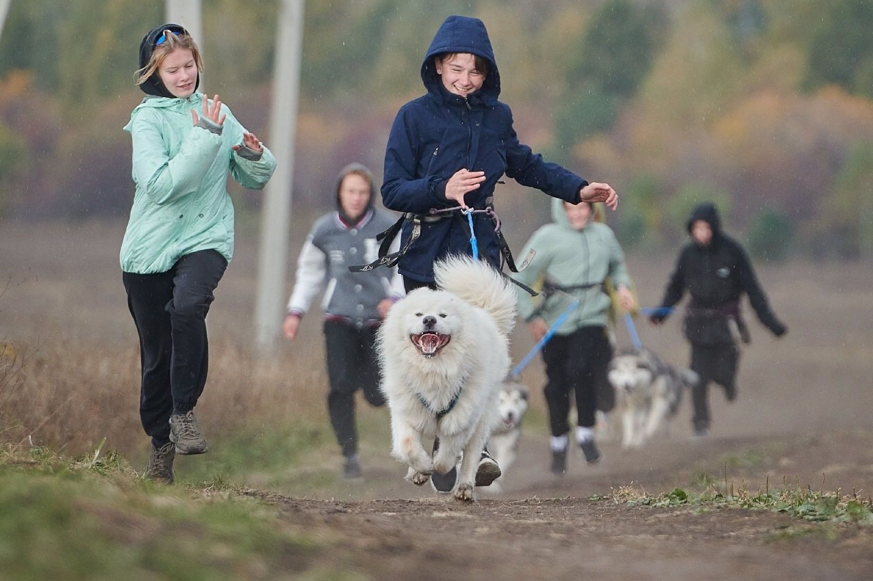 участники дог-трекинга от центра Звезда Катуни_Ирина Оболенская_katun_star.jpg