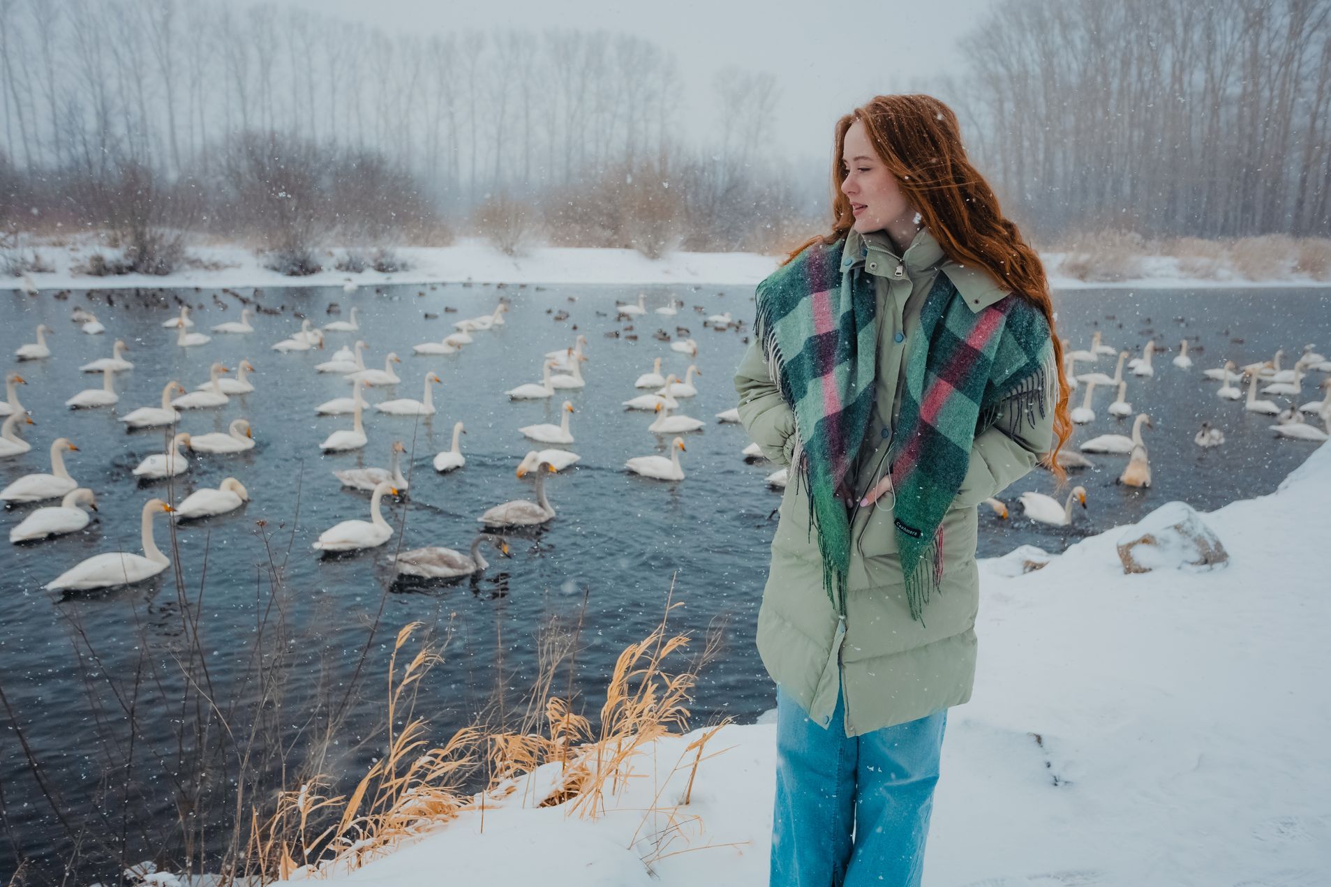 на лебедном озере_Валерий Степанюк.jpg