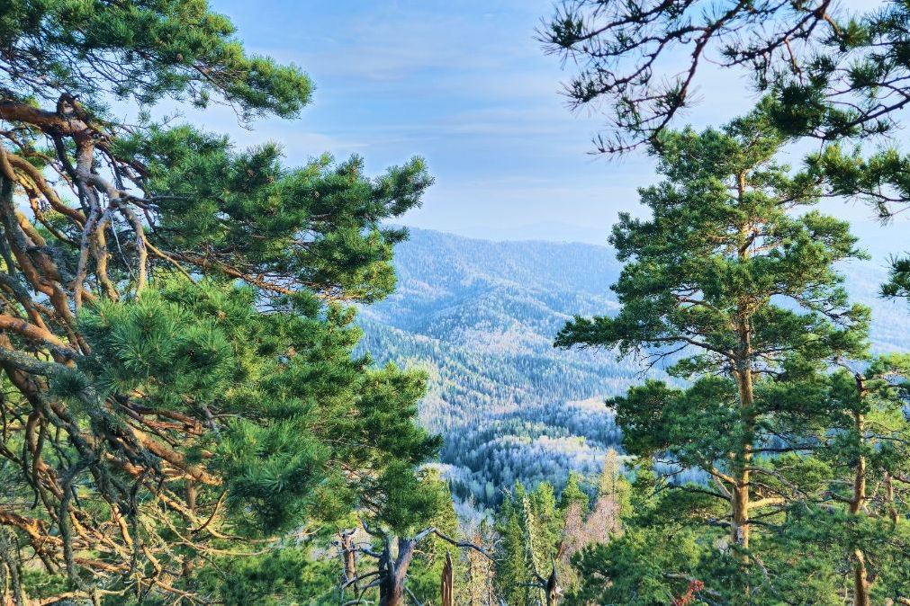 виды на маршруте_Врата Шамбалы_путевка Сила гор_belokurikha.ru.jpg