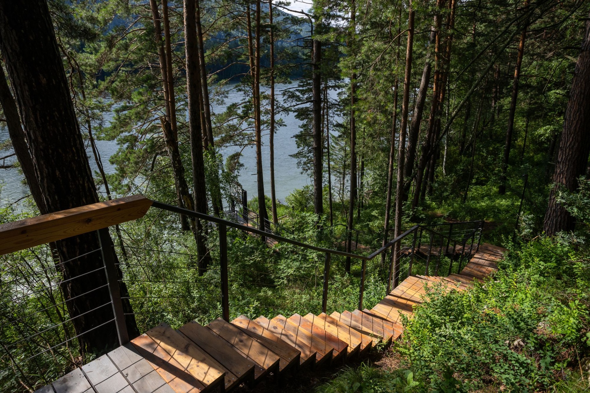 оборудованный спуск к Катуни в Парке Рериха_Валерий Степанюк.jpg