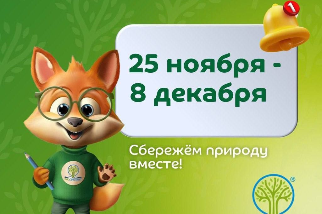 сроки Экодиктанта-2024_ecodictation.jpg