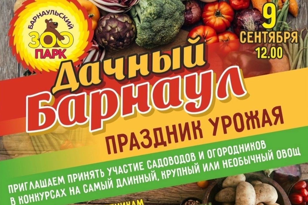 афиша Дачного Барнаула_Сергей Писарев.jpg