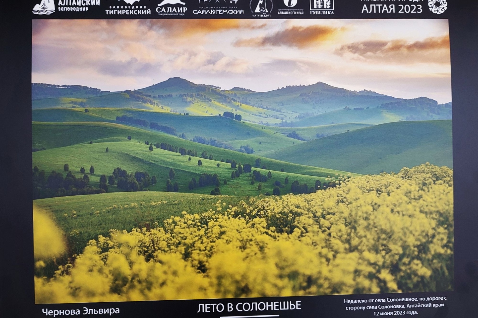 фото-призер фотовыставки Живая природа Алтая_Эльвира Чернова.jpg