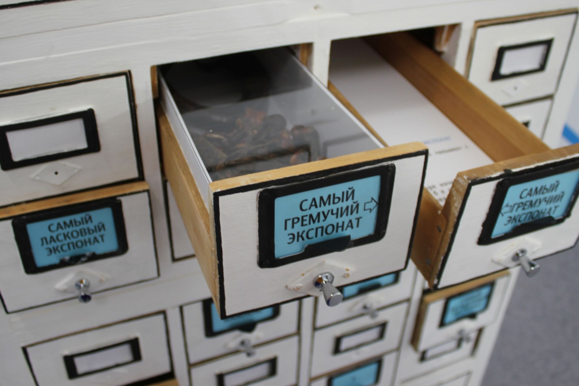 экспозиция выставки Музей 200+_agkm1823.jpg