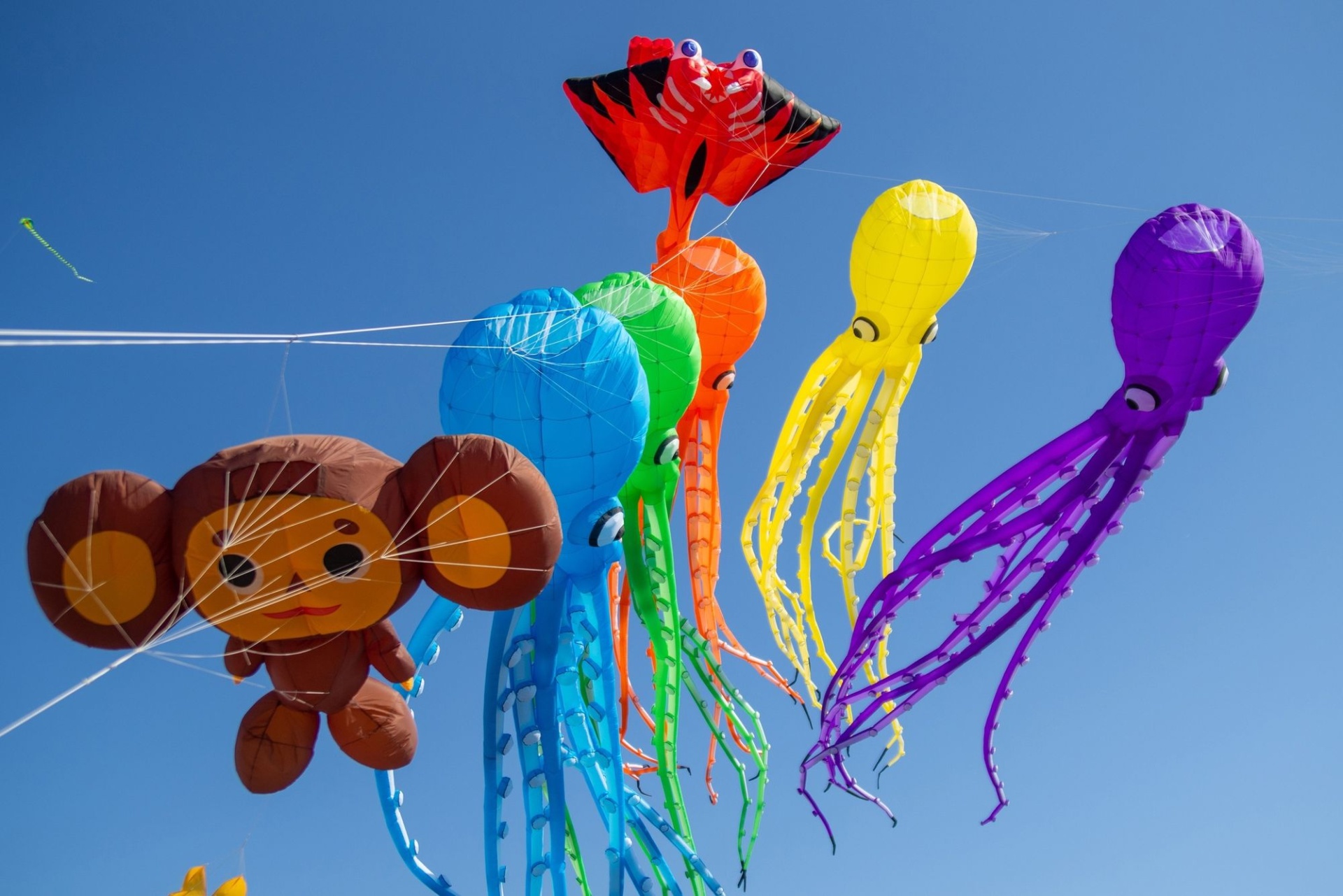 воздушные змеи от Клуб любителей воздушных змеев SPb Kites_spbkites.jpg