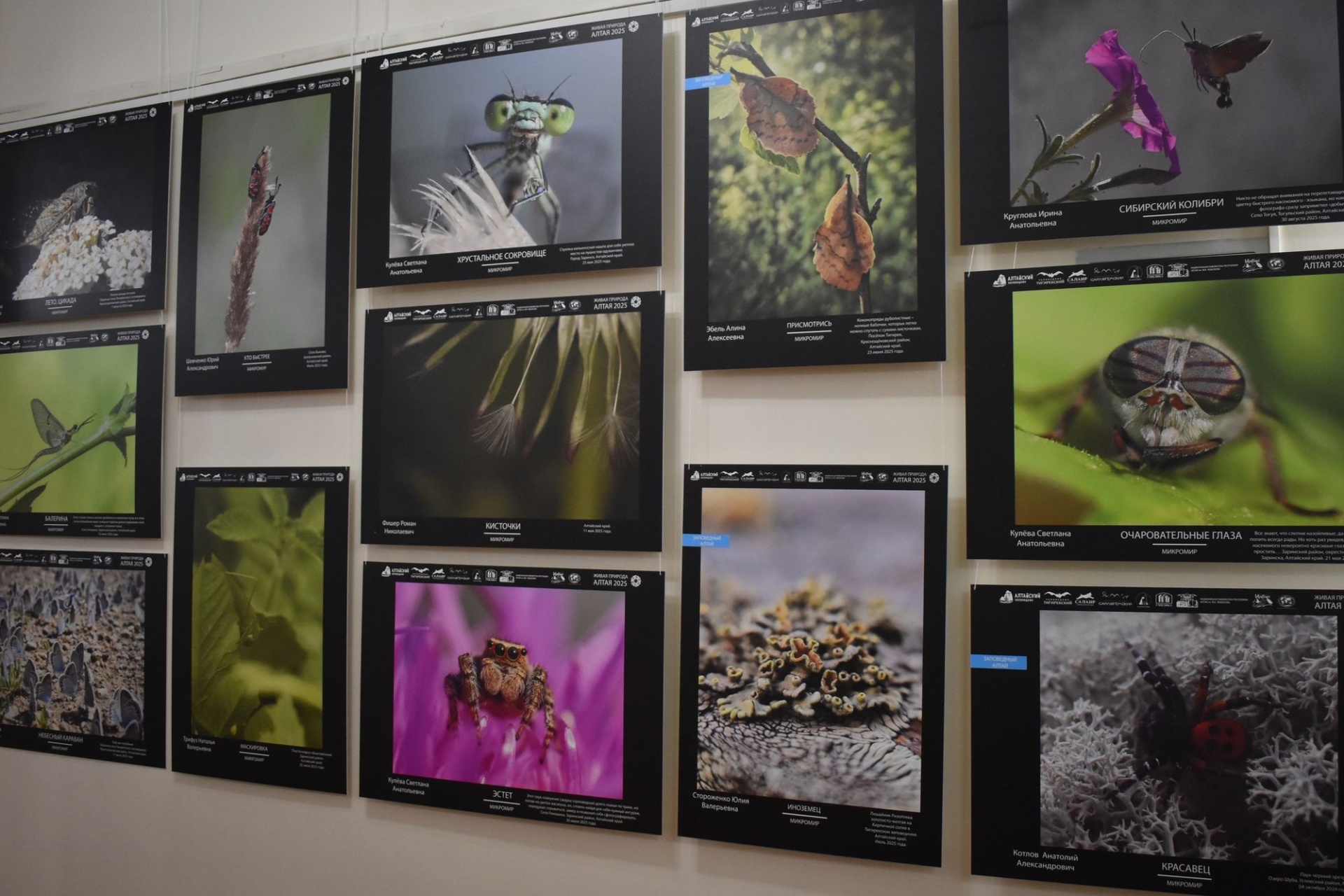 работы участников выставки Живая природа Алтая_gmilika.jpg