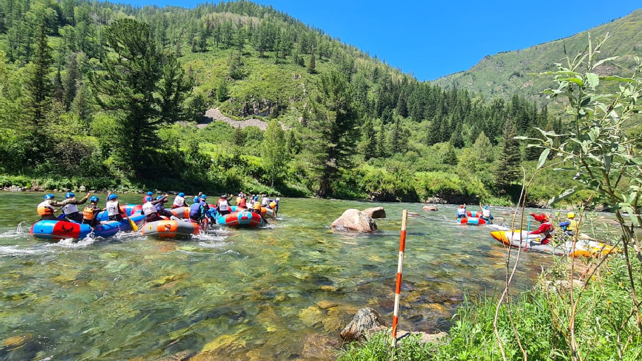 Кумир-2024-3_Сергей Ткаченко.png