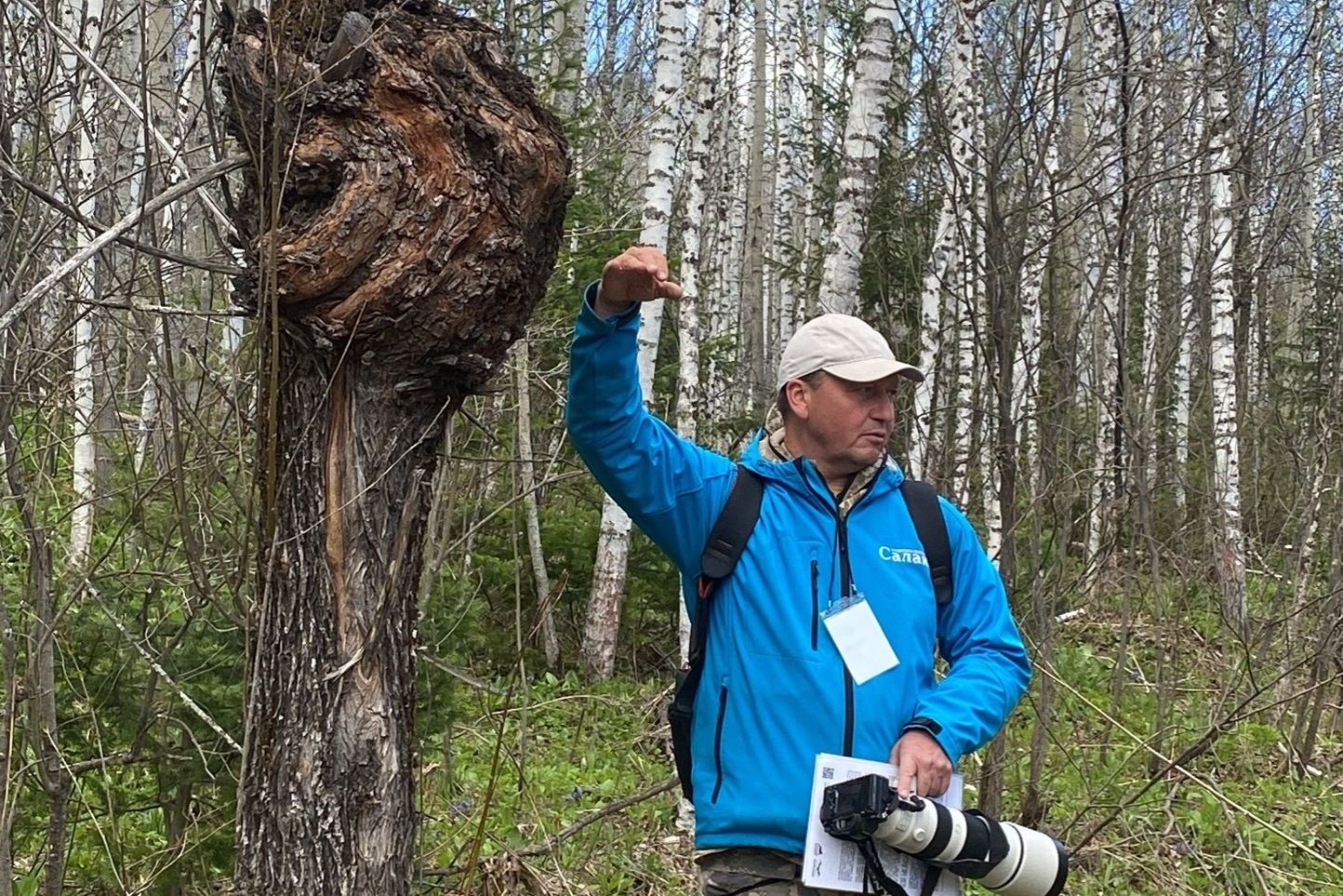 экскурсовод по тайге Салаира_jul_li_at.jpg