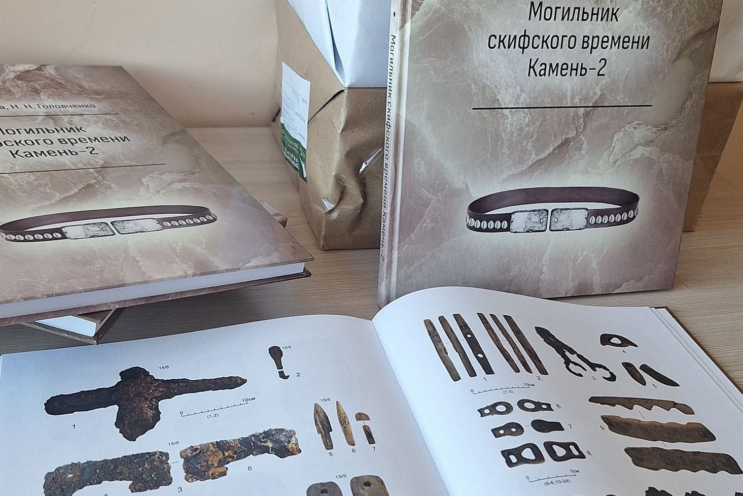 монография Могильник скифского времени Камень-2_Николай Головченко.jpg монография Могильник скифского времени Камень-2_Николай Головченко.jpg