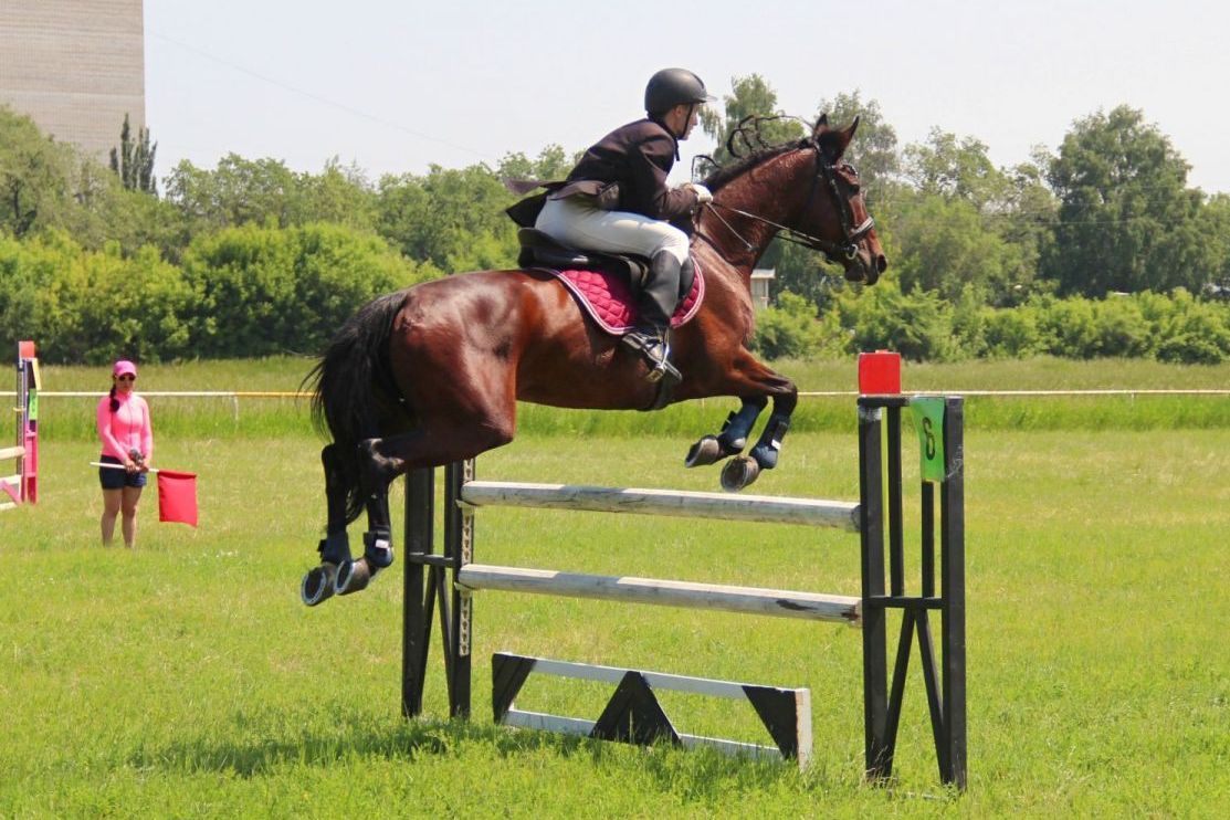 соревнования по конкуру на Барнаульском ипподроме_Олег Харлов.jpg
