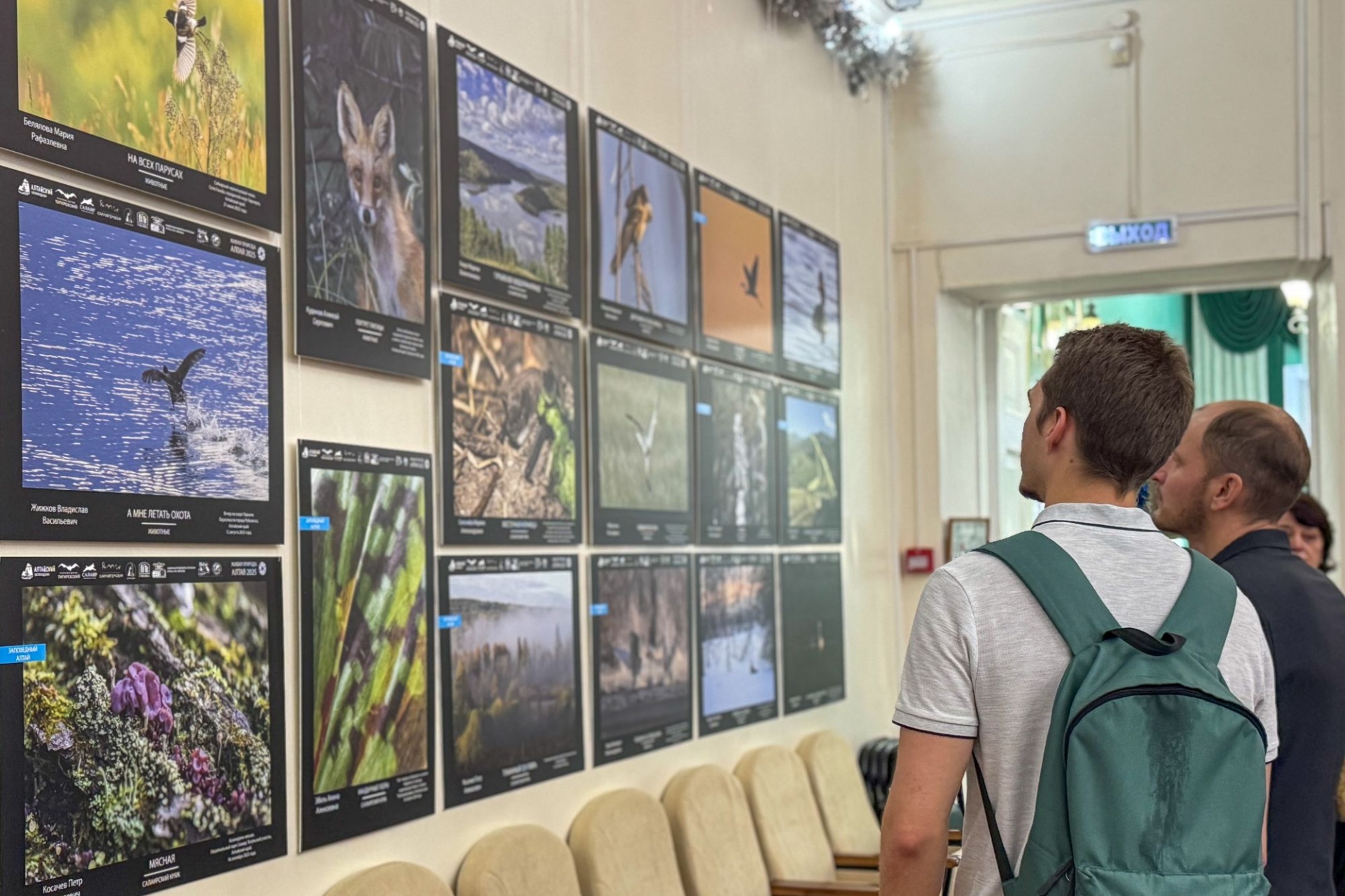 на выставке Живая природа Алтая_Анна Доронина.jpg