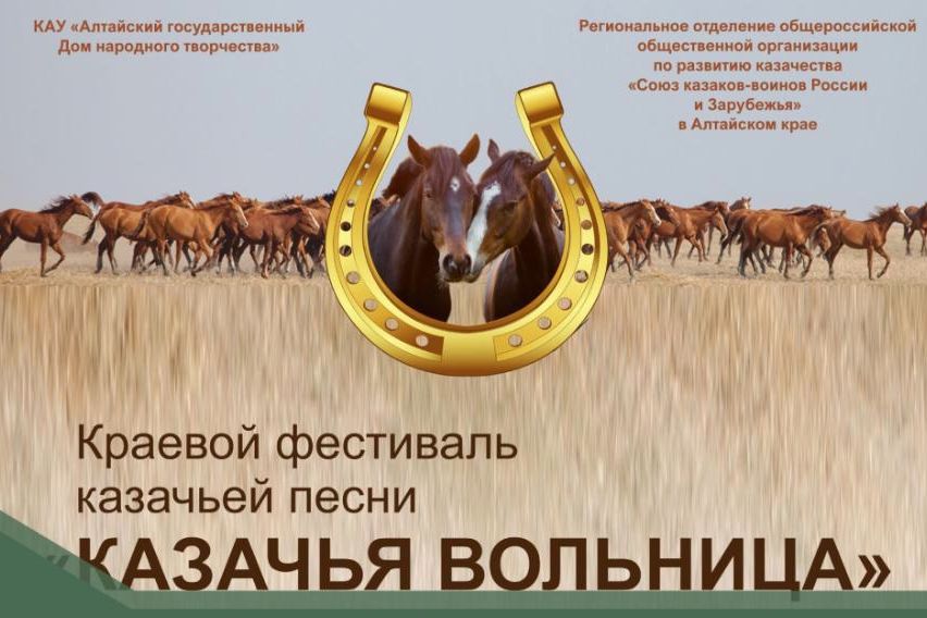 фестиваль песни Казачья вольница_domnarodnogotvorchestva.jpg