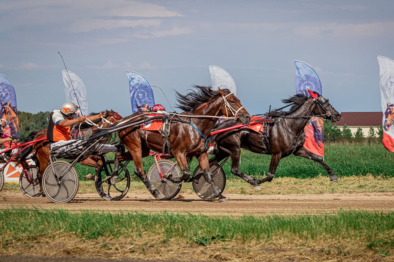 этап Большого Сибирского круга на ипподроме Золото Алтая_cmh.ru.jpg