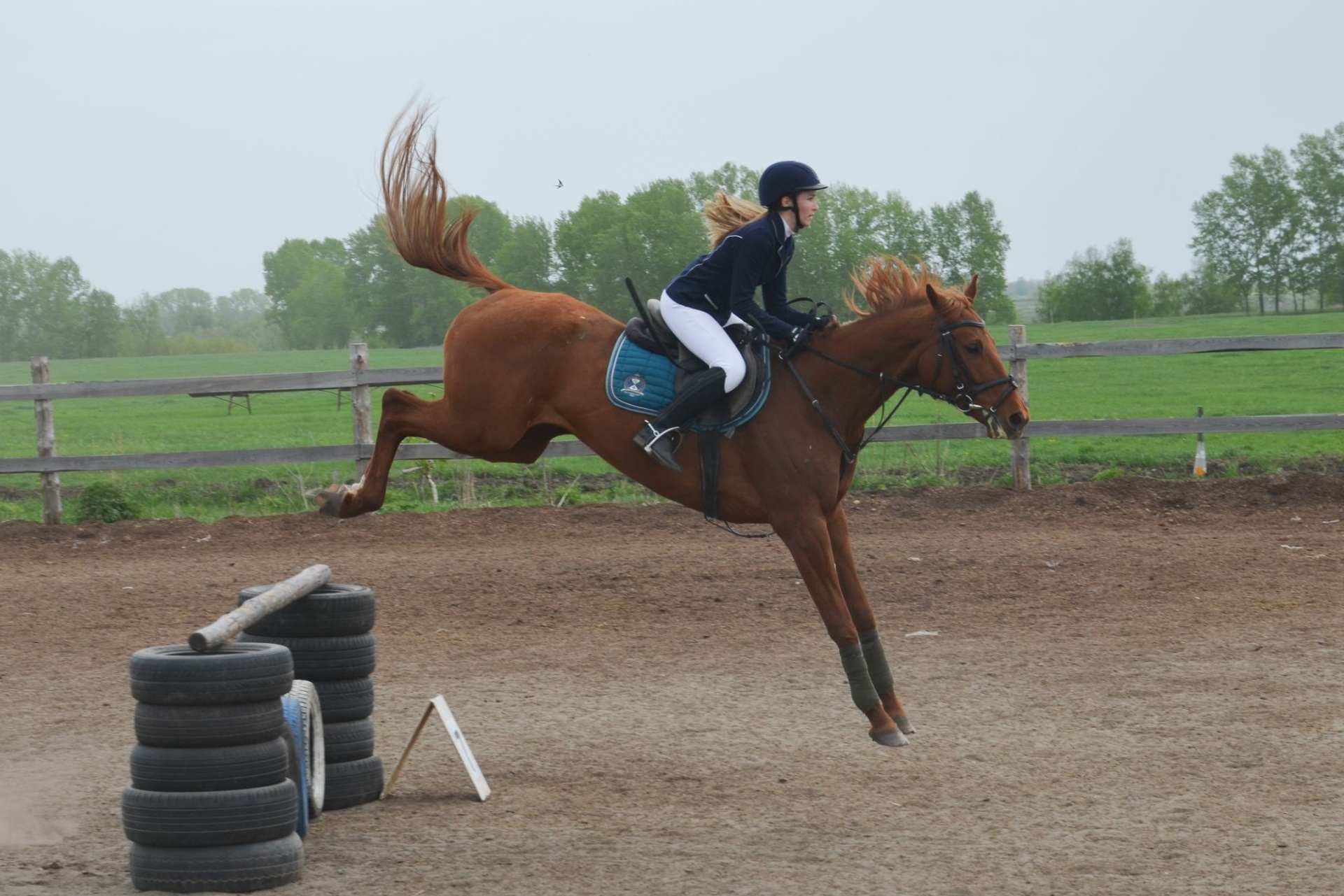 соревнования по конкуру в клубе Мечтатель_Ксения Мерзликина_mechtatel_byisk.jpg