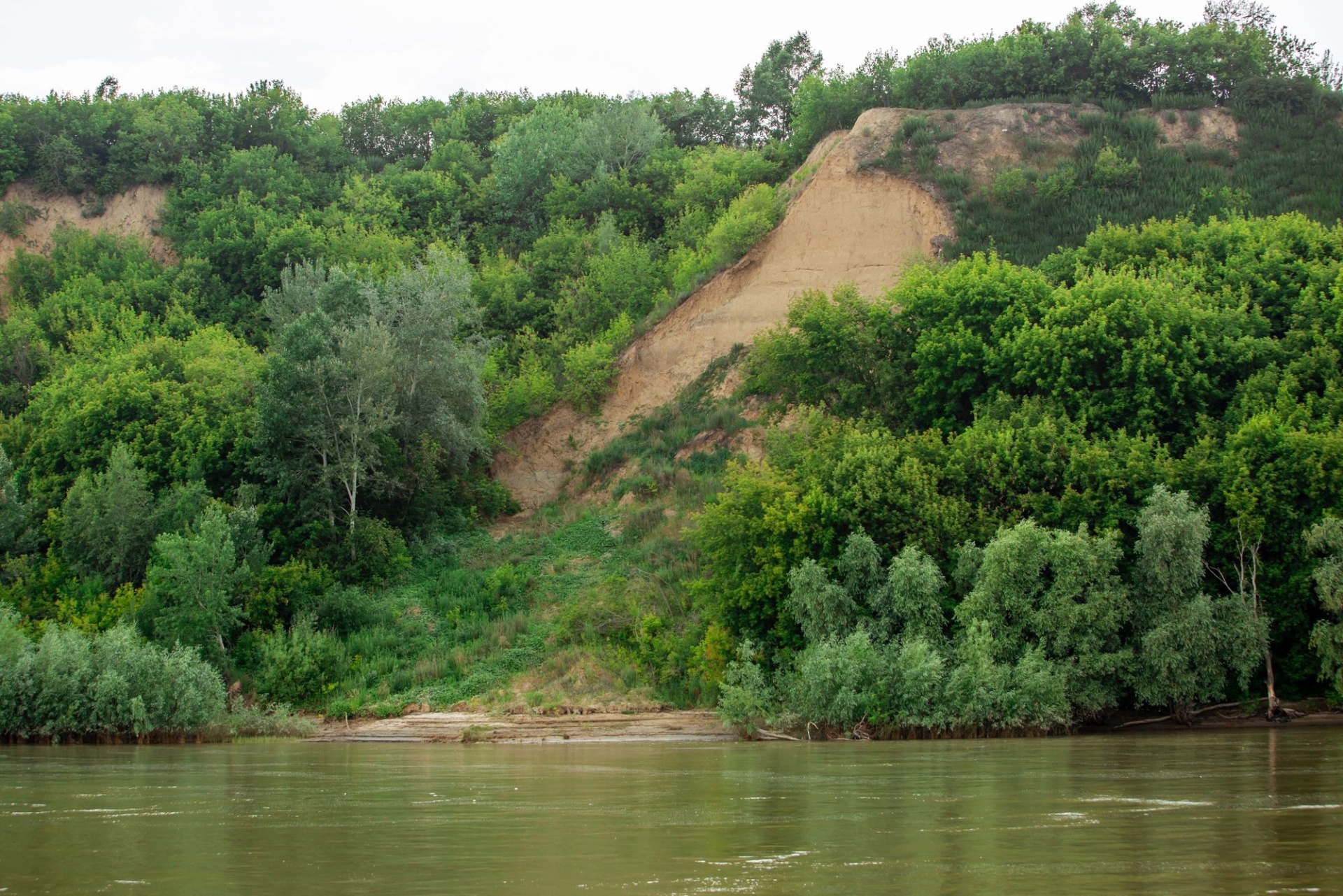 вид на Обской берег с теплоходной экскурсии_agkm1823.jpg вид на Обской берег с теплоходной экскурсии_agkm1823.jpg