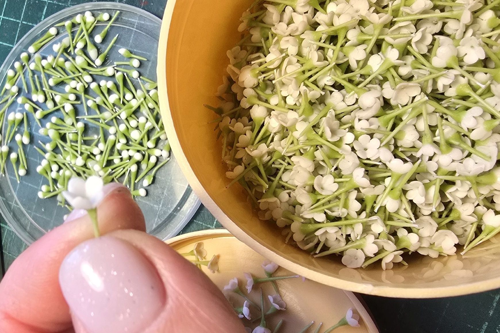 бутоны цветущей гречихи в исполнении Инны Зуевой_iz_pervocvet22.jpg