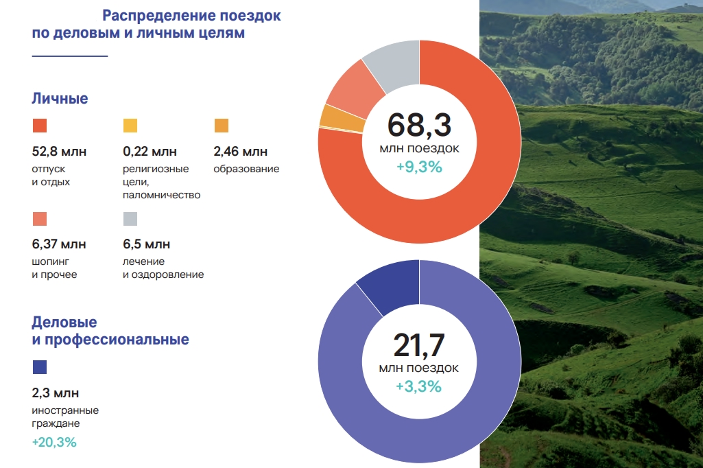 цели поездок по стране_gov.jpg