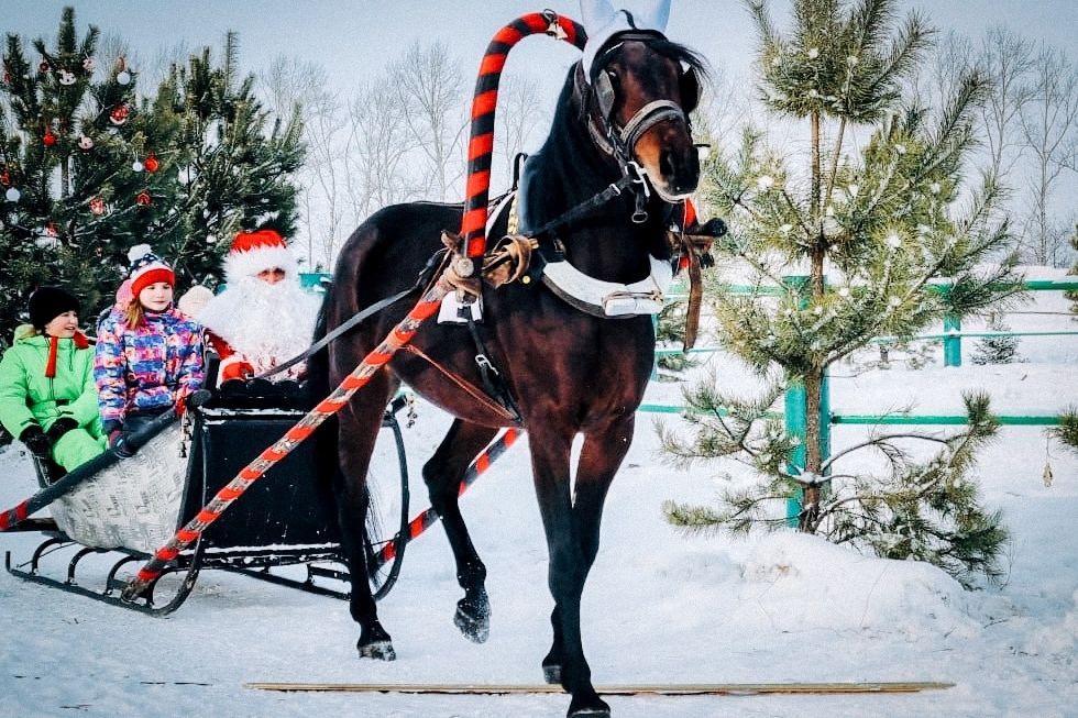 катание в санях по загородному комплексу Мечтатель_mechtatel_byisk.jpg