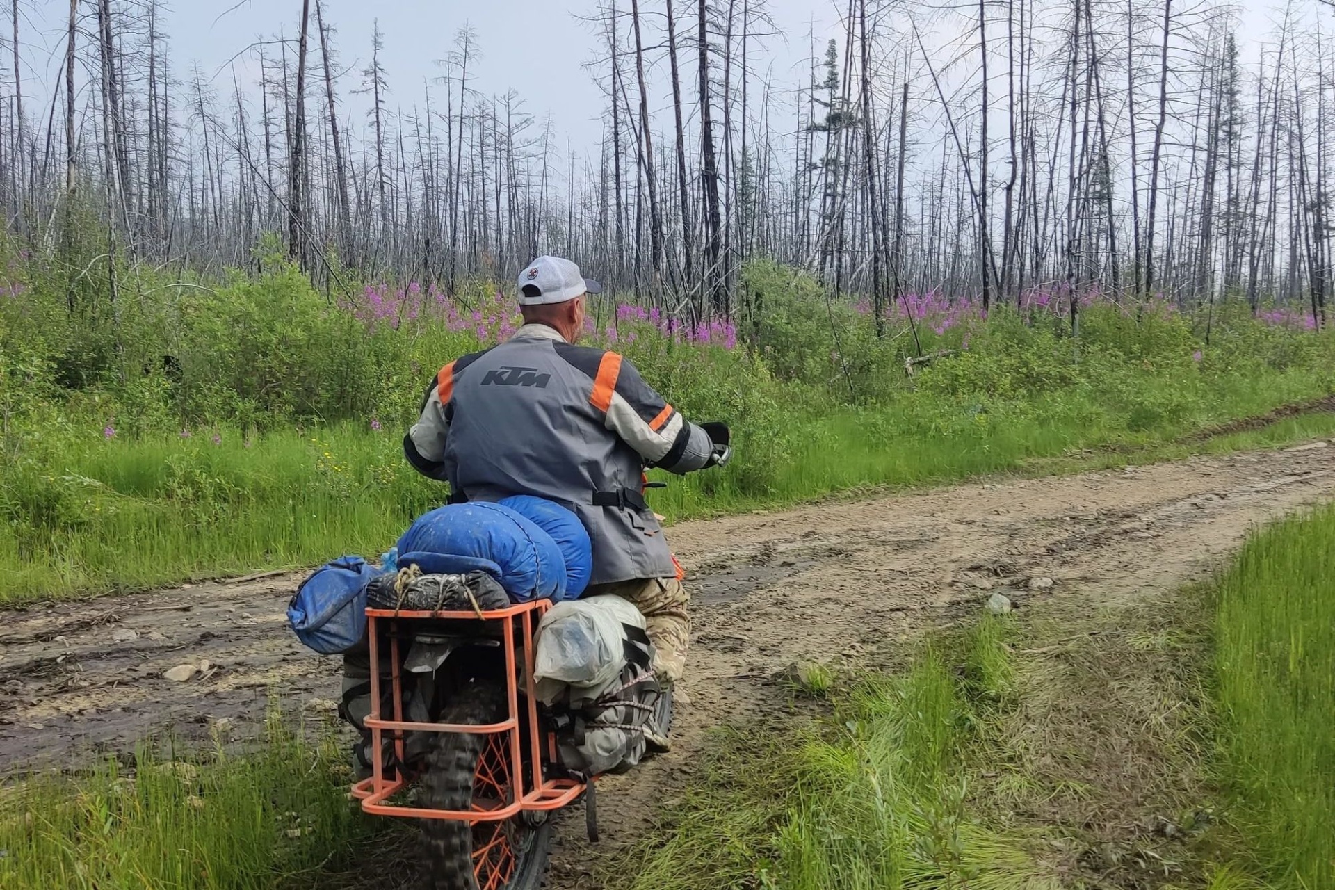 мотоэкспедиция по БАМу на выгоревшем участке тайги _Виктор Пантыкин.jpg