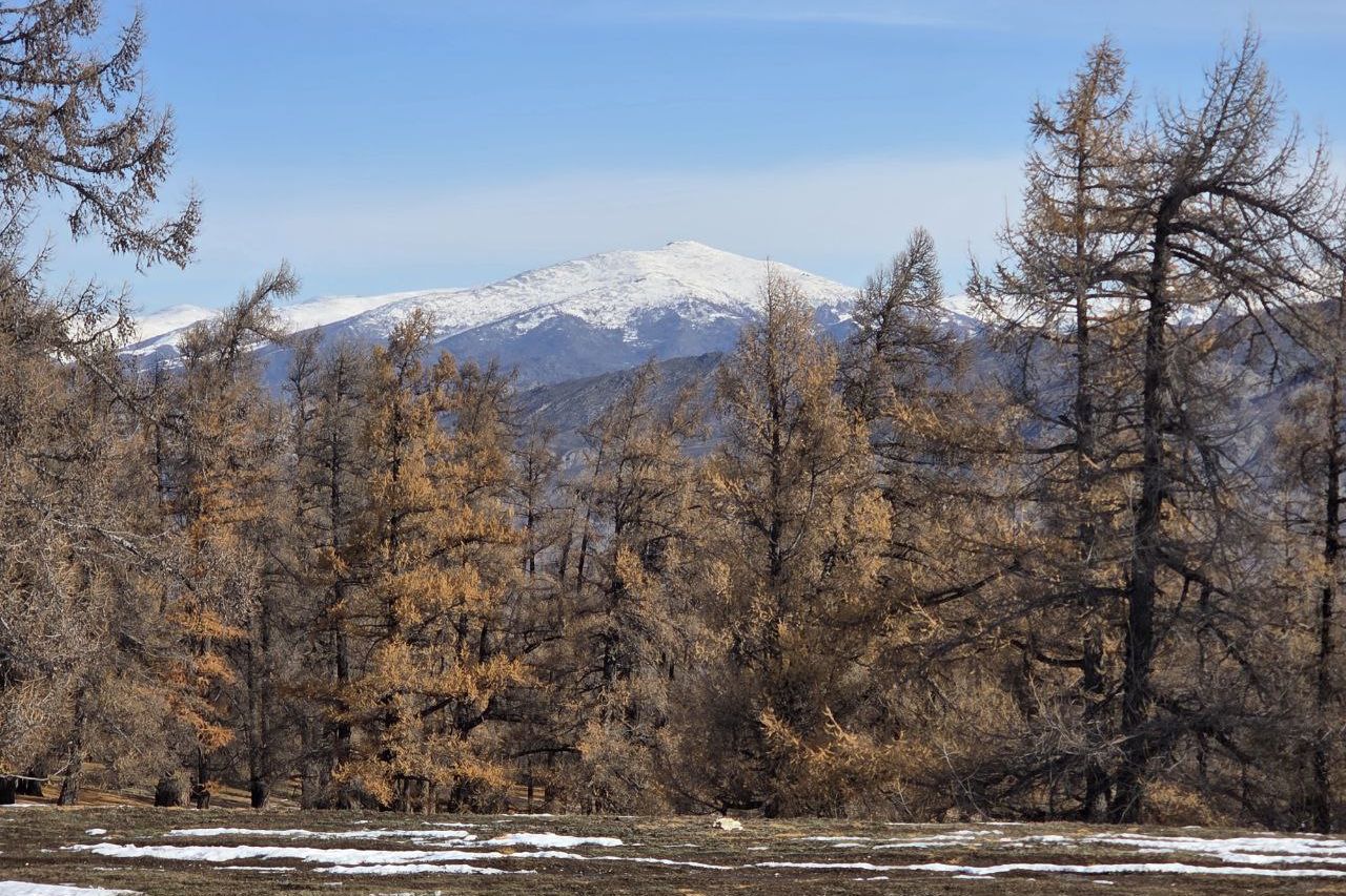 южные предгорья Алтая в уезде Хабахэ_КНР_Марина Танкова.jpg