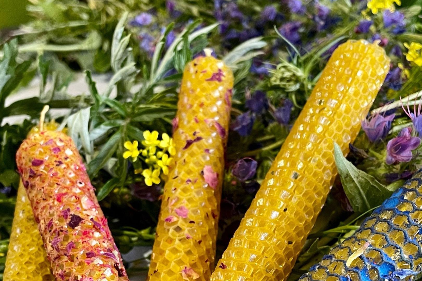 свечи из вощины_Виктория Моргоева.jpg