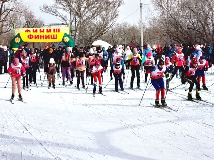 лыжники на Трассе здоровья Рубцовска_Рубцовск_Live.jpg
