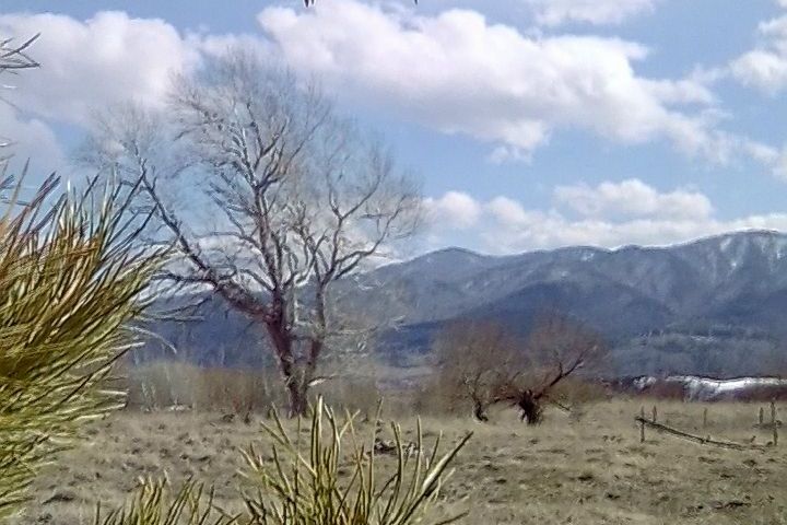 предгорья Смоленского района_altaylubograd.jpg