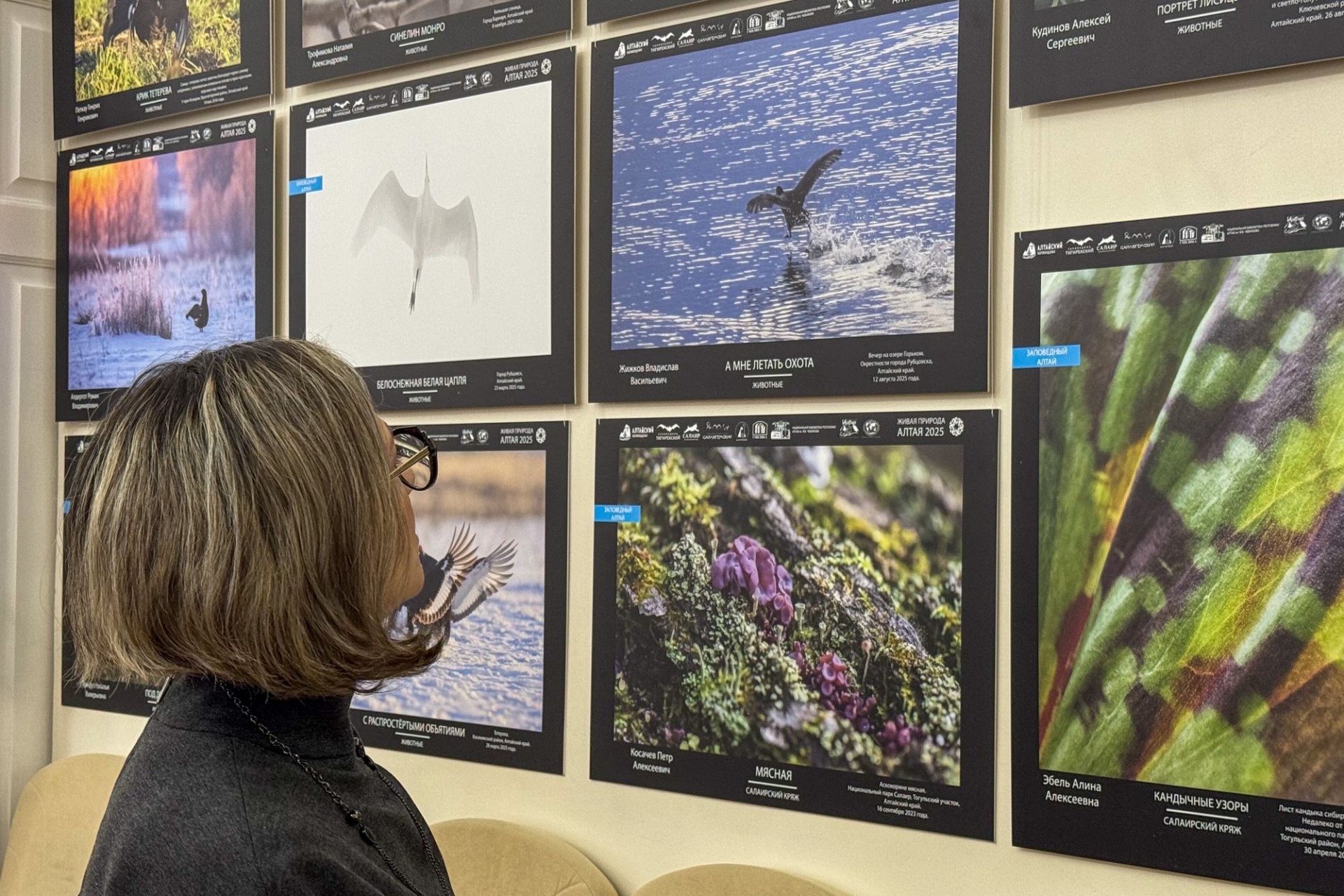 посетительница выставки Живая природа Алтая_Анна Доронина.jpg
