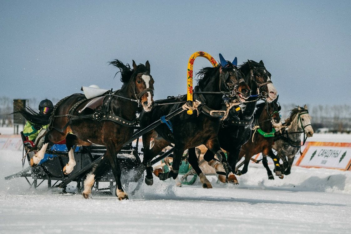 заезды троек на Сибирской Масленице_ипподром Алтай_sibmaslenica.jpg