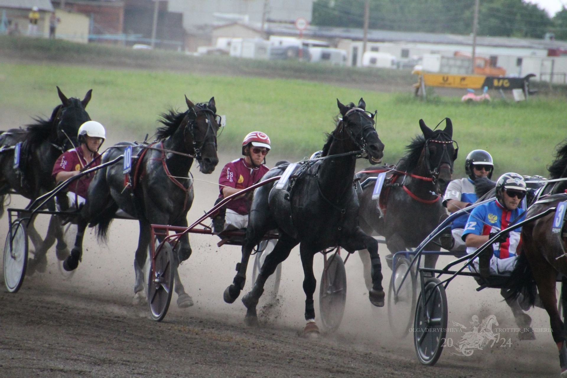 конные бега на Барнаульском ипподроме_Большой Сибирский круг_Ольга Дерюшева_trotter_in_siberia.jpg