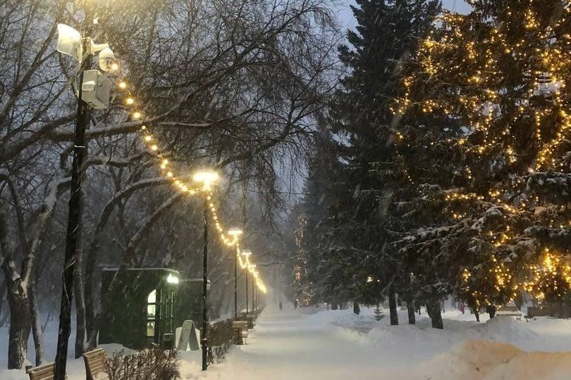 новогодняя аллея парка Изумрудный_fondim22.jpg