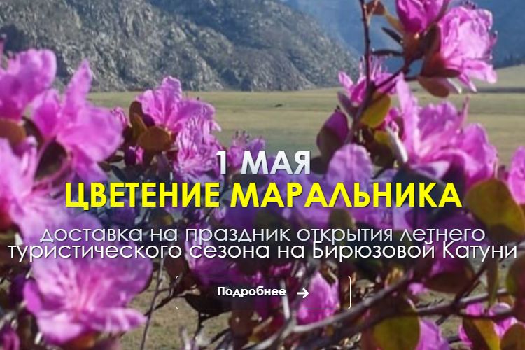 афиша экскурсии на Цветение маральника от турбюро Атлас Алтая_атлас-алтая.рф.jpg