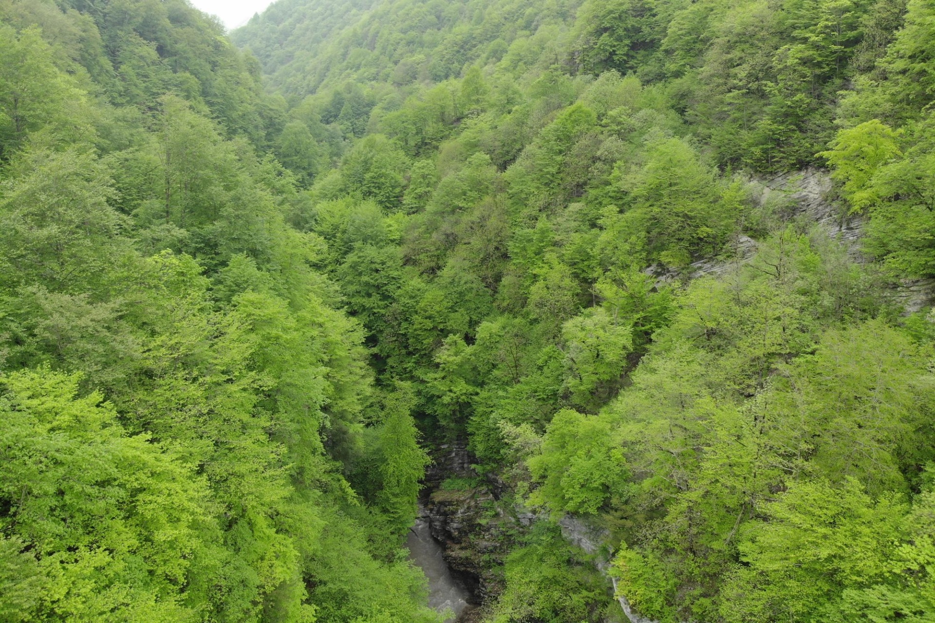 каньон Нихалой_Денис Мердяшов.jpg