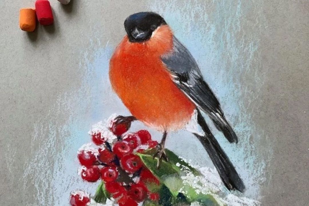 картина снегирь пастелью_biysk_afisha.jpg