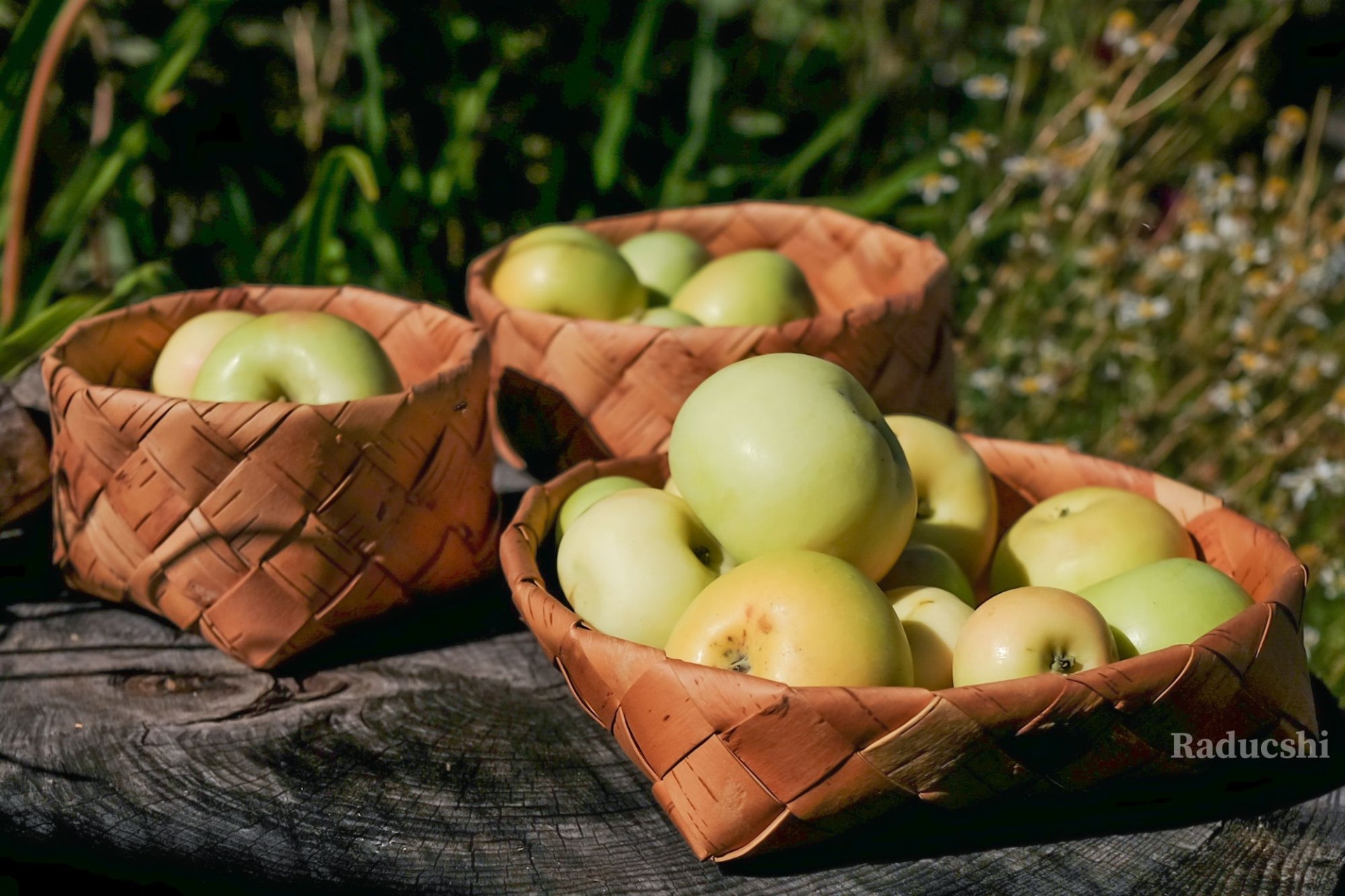 туеса РаДуши с яблоками_Полина Буренина.jpg
