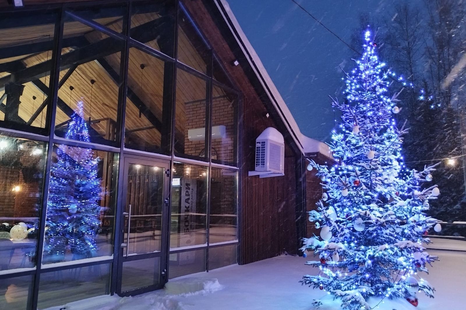 елка у входа в кафе ГЛК Берлога_Юлия Шевченко.jpg