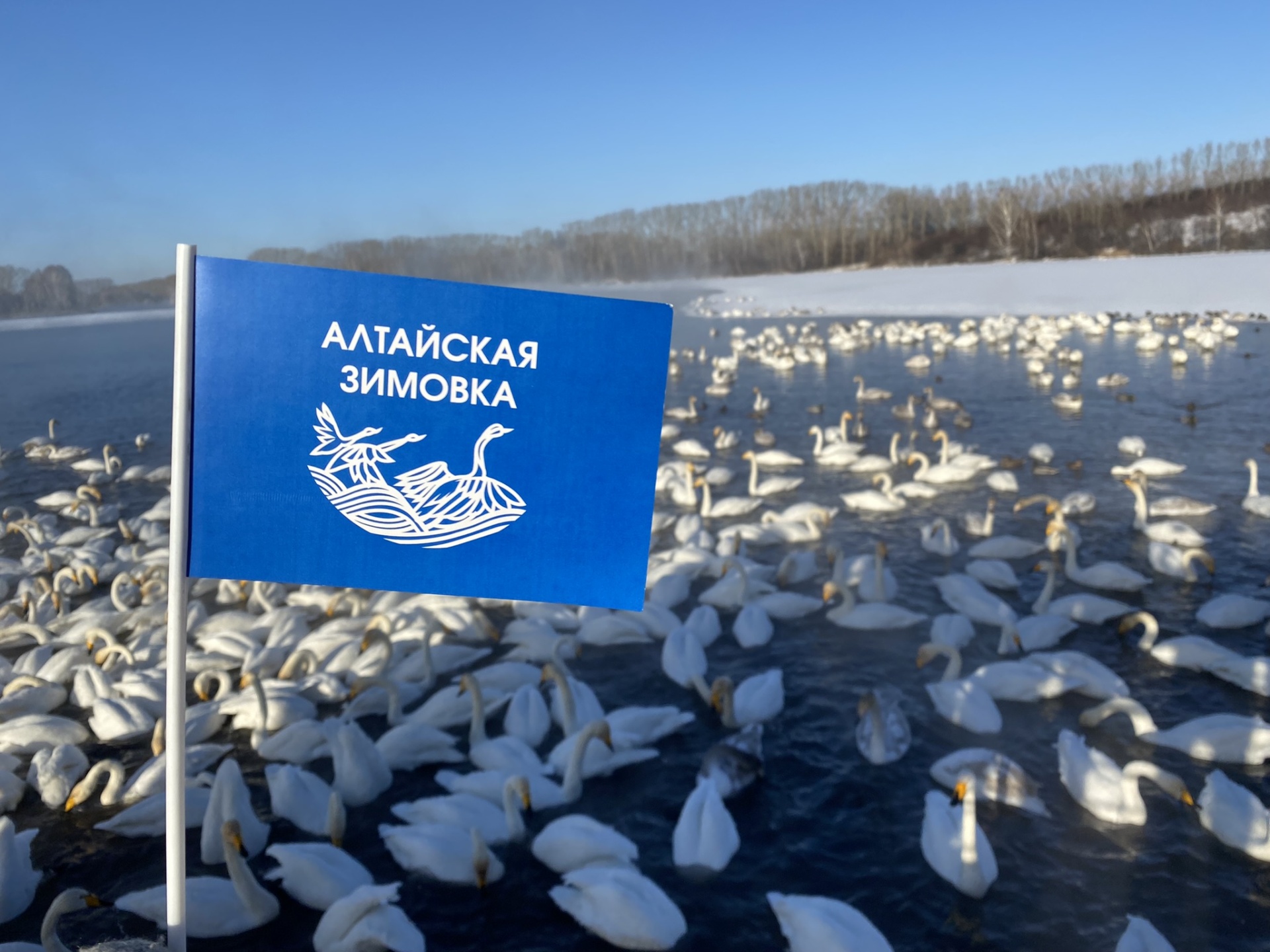 На выходных в Алтайском крае прошли мероприятия фестиваля «Алтайской  зимовки»