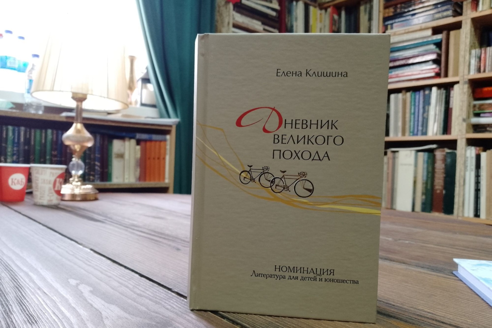 обложка книги Елены Клишиной Дневник великого похода_knigacafe.jpg