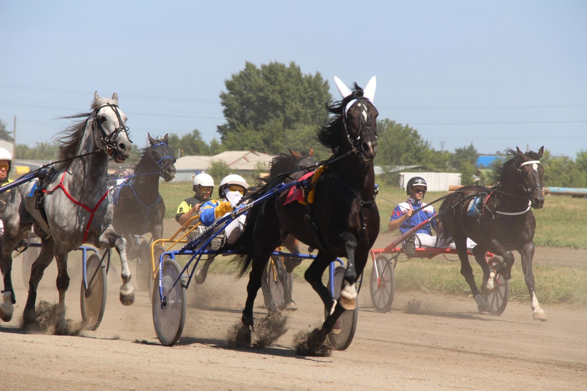 заезды на Барнаульском ипподроме_altagro22.jpg