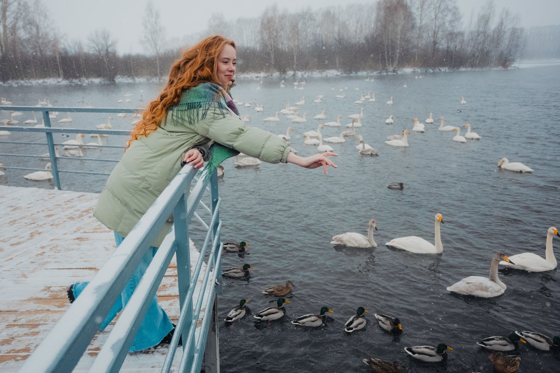 лебеди на озере Светлом_Валерий Степанюк.jpg