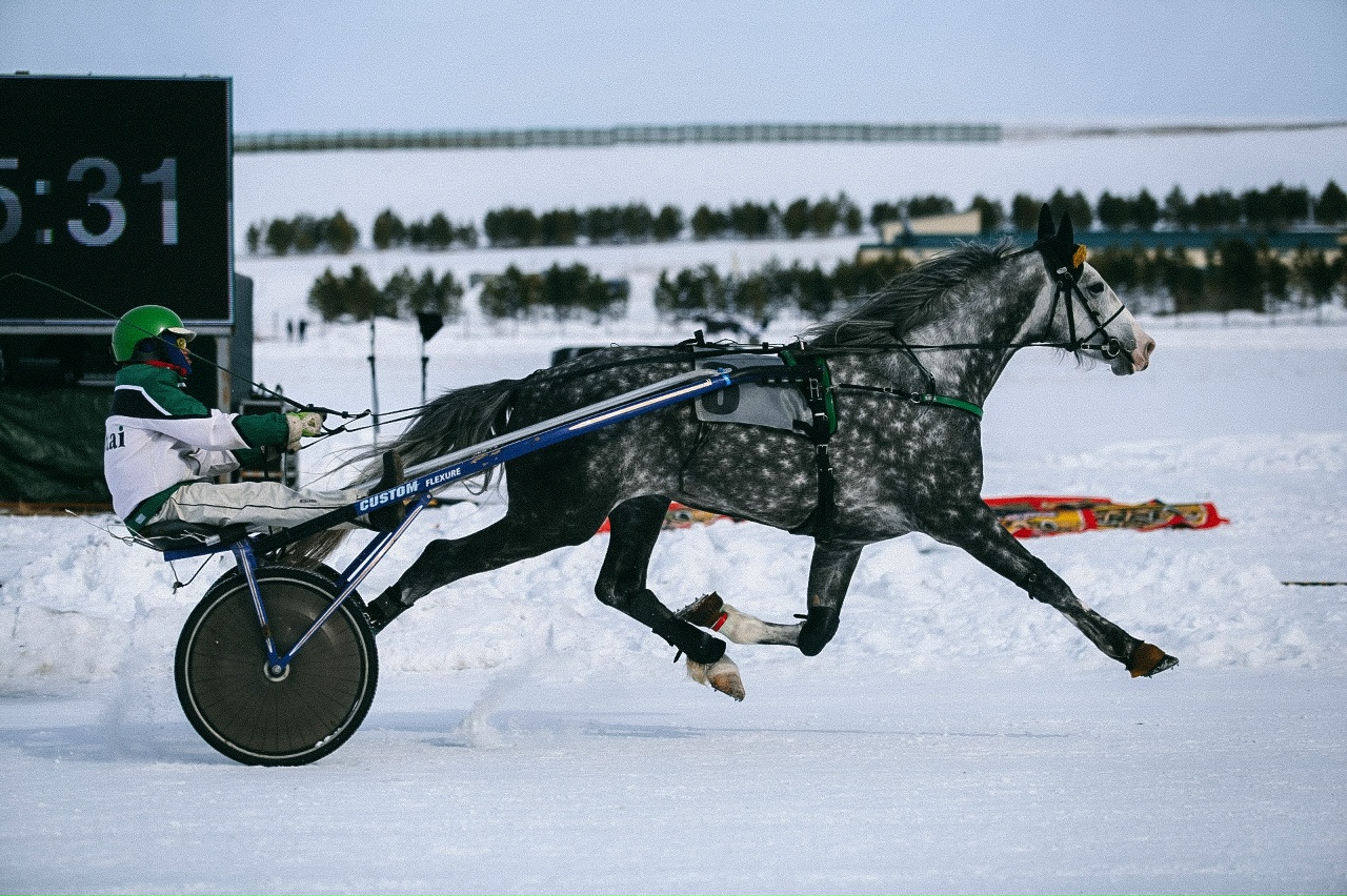 конные бега на Сибирской Масленице_sibmaslenica.jpg