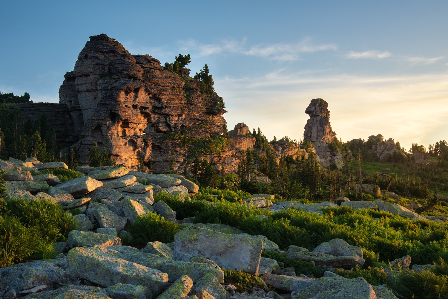 Песнь папоротника в куруме_Алена Рубан.jpg Песнь папоротника в куруме_Алена Рубан.jpg