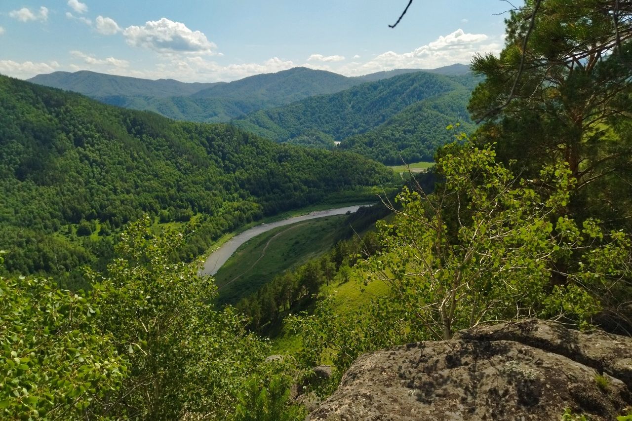 окрестности села Солоновка_solonovskie_zakroma.jpg