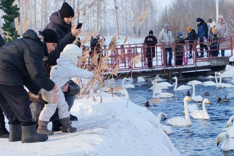 экскурсанты в заказник Лебединый_siriustur22.jpg