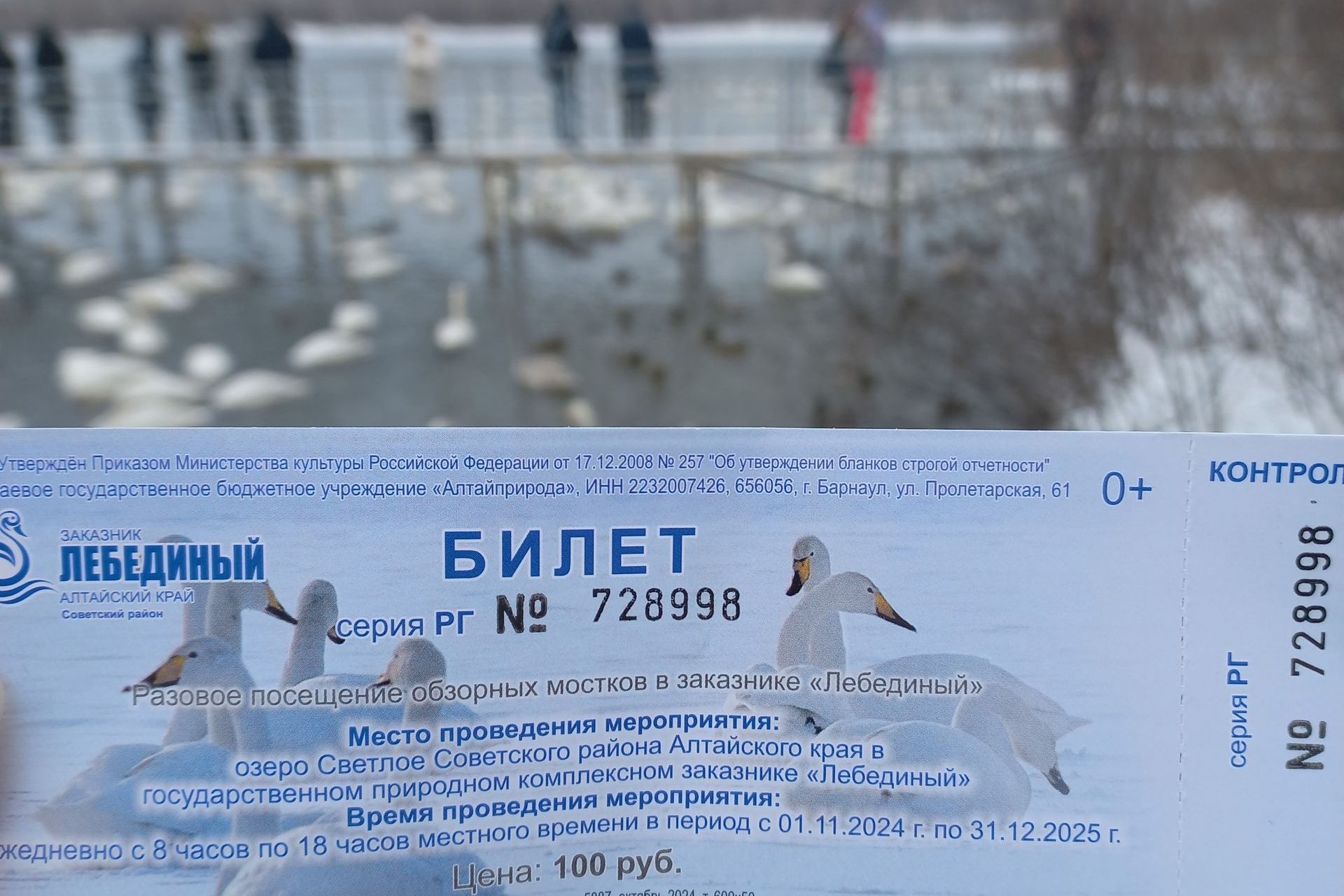 билет в заказник Лебединый_Ирина Невежина.jpg